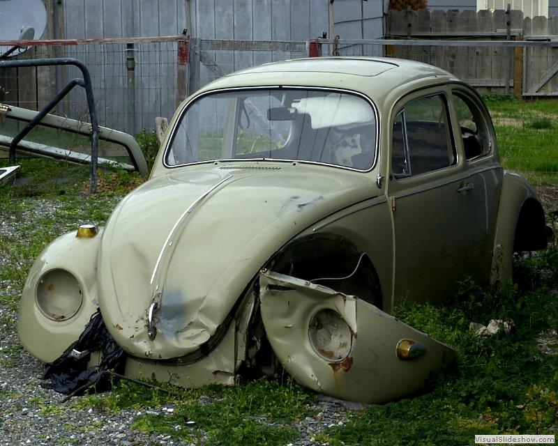Vw-01
