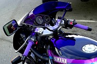 DSC_0174GCe.jpg