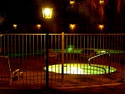 DSC_1240s.JPG