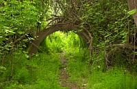 DSC_1696s.JPG