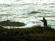 DSC_4546CE.JPG