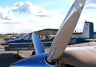P0000031s.JPG
