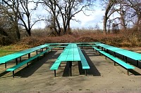 P0000790a.sJPG.jpg