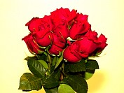Roses03S.JPG