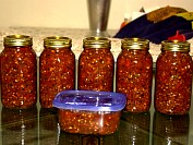 Salsa1.JPG