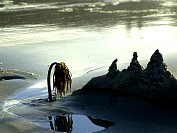 TheIsland01S.JPG