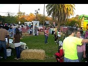 DSC_5031.JPG
