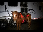 DSC_5255.JPG