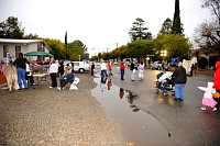 DSC_2982.JPG