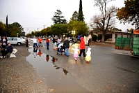 DSC_2983.JPG