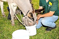 DSC_8479.JPG