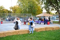 DSC_8501.JPG