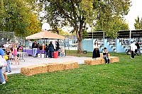DSC_8502.JPG