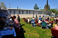 DSC_4738.JPG