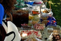 DSC_9868.jpg
