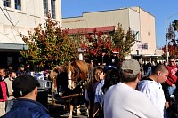 DSC_9011.jpg