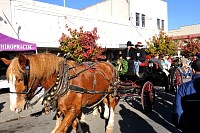 DSC_9017.jpg