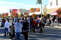 DSC_9033.jpg