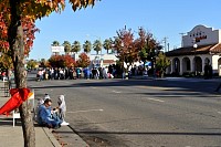 DSC_9082.jpg