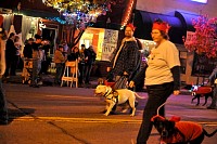 DSC_6676.jpg