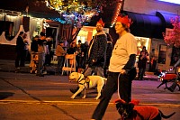 DSC_6677.jpg