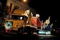 DSC_7233.jpg
