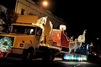 DSC_7236.jpg