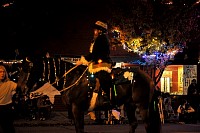 DSC_7328.jpg