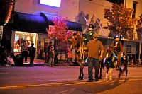 DSC_7330.jpg