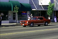 P0000914.jpg