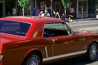 P0000935.jpg