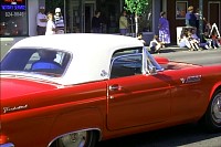 P0000938.jpg