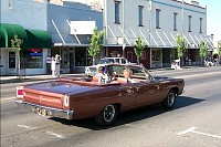 P0000939.jpg