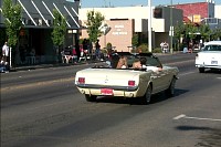 P0000948.jpg