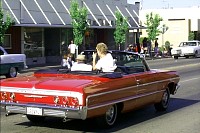 P0000956.jpg