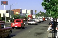 P0000965.jpg
