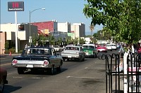 P0000976.jpg
