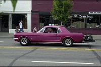DSC_2052.jpg