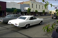 DSC_2220.jpg