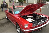 DSC_2526.jpg