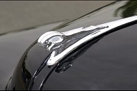 DSC_2556.jpg