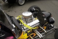 DSC_2559.jpg