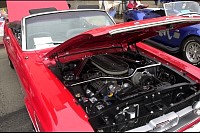 DSC_2572.jpg