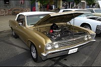 DSC_2584.jpg