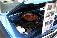 DSC_2637.jpg