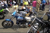 DSC_2642.jpg