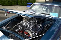 DSC_2679.jpg
