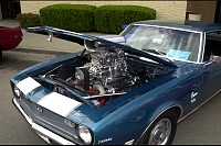 DSC_2681.jpg