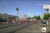 DSC_7114.jpg