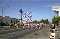 DSC_7115.jpg